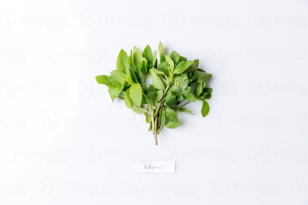Peppermint leaves on white with copy space - Australian Stock Image