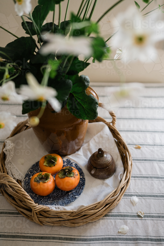 persimmons on a vintage woven tray with Japanese windflowers : Austockphoto persimmons on a vintage woven tray with Japanese windflowers - Australian Stock Image