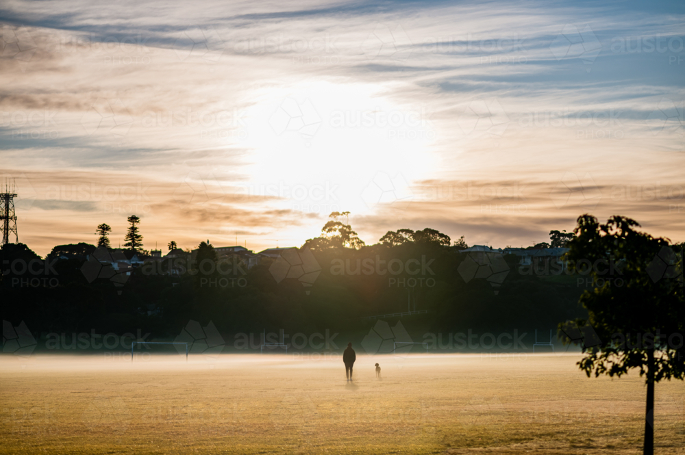 person and dog walking through misty park at sunrise - Australian Stock Image