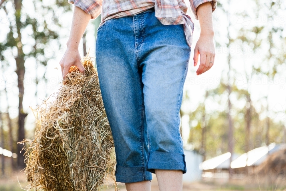 Person carrying hay biscuit to feed livestock - Australian Stock Image
