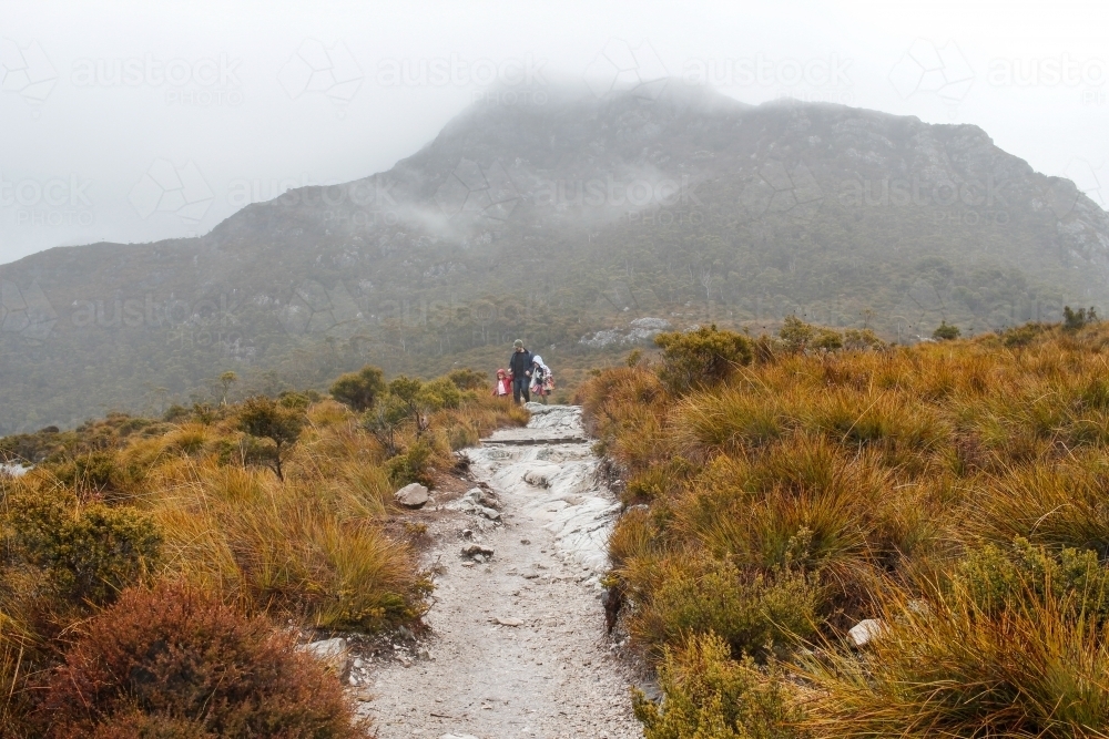 Person hiking on a lonely track at Cradle Mountain - Australian Stock Image