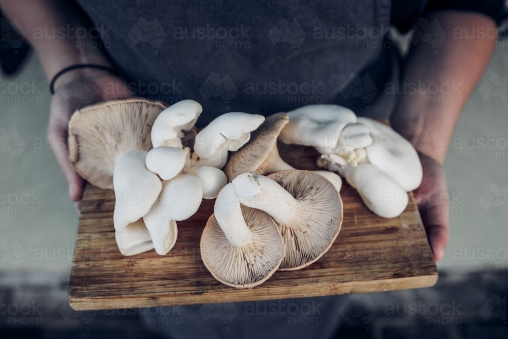 Person holding a wooden board with wild mushrooms - Australian Stock Image