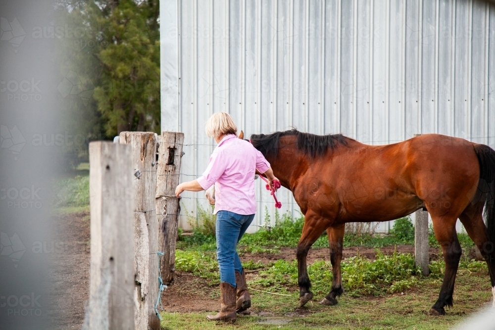 Person leading her brown horse through gate into paddock - Australian Stock Image