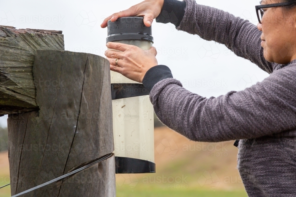 Person measuring rain in rain gauge - Australian Stock Image