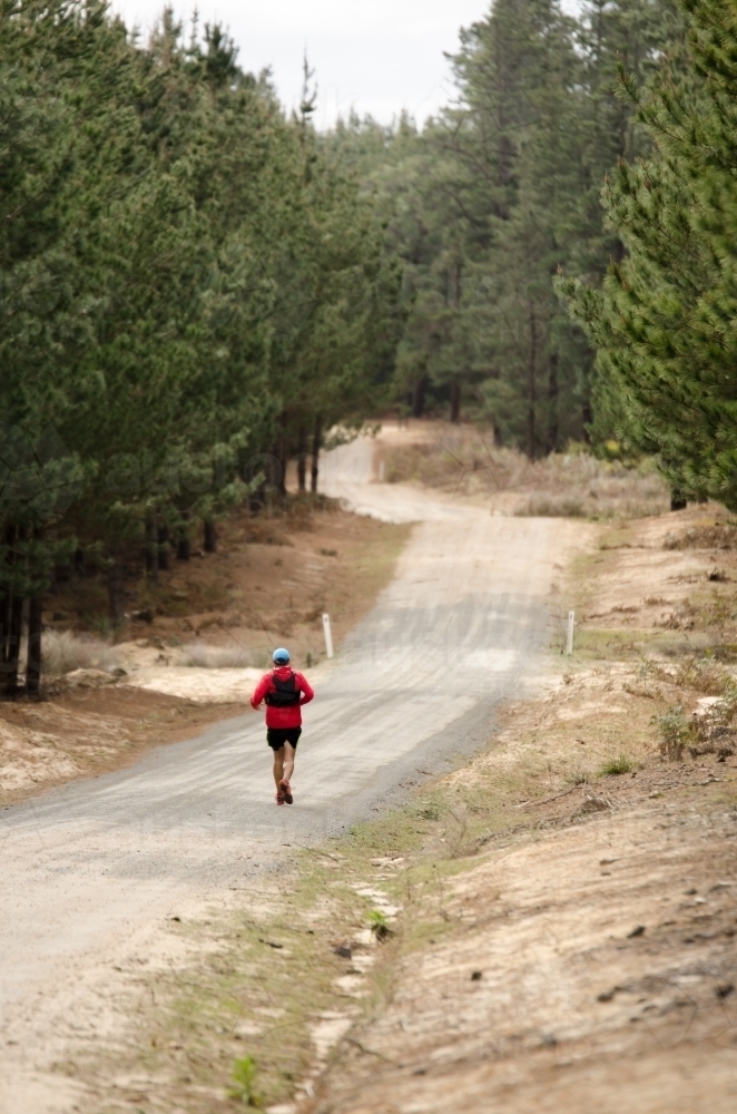 Person running down trail in the forest - Australian Stock Image