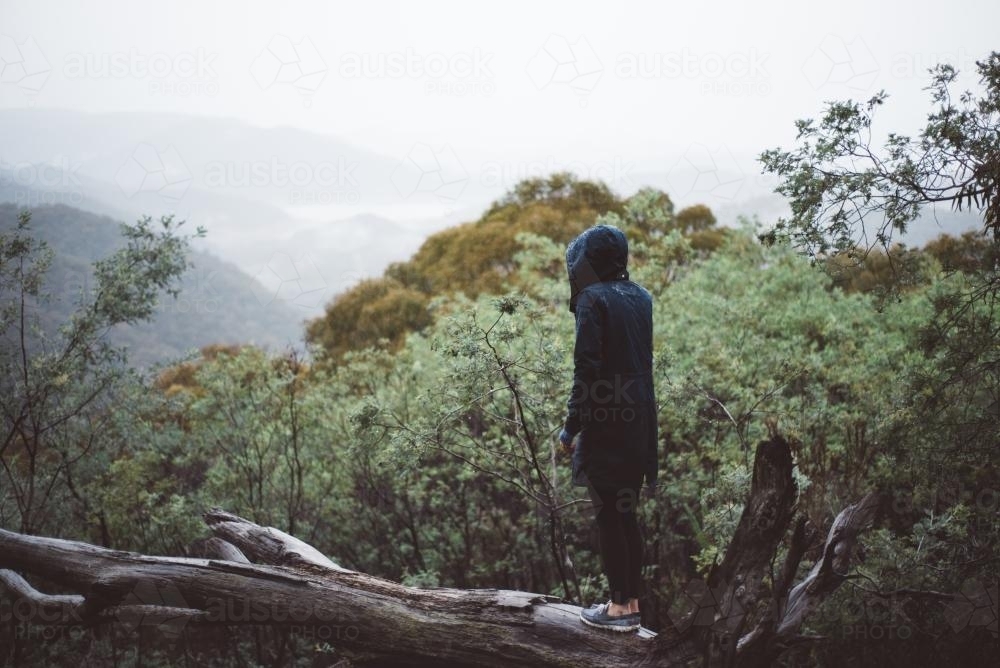 Person stadning on a fallen tree looking into the bush - Australian Stock Image