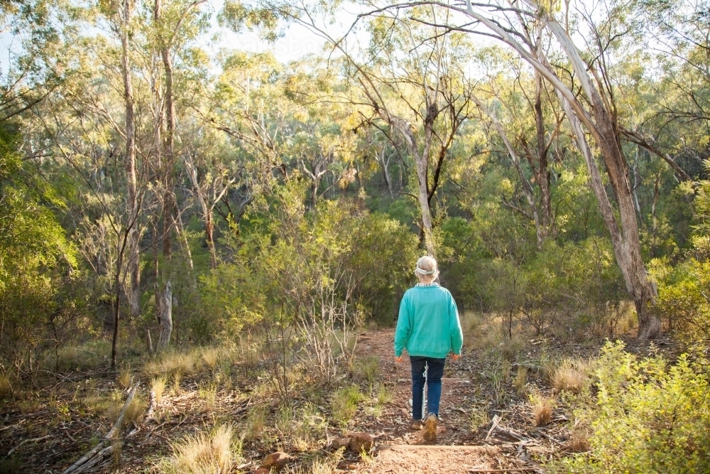 Person walking through bushland in the early morning - Australian Stock Image