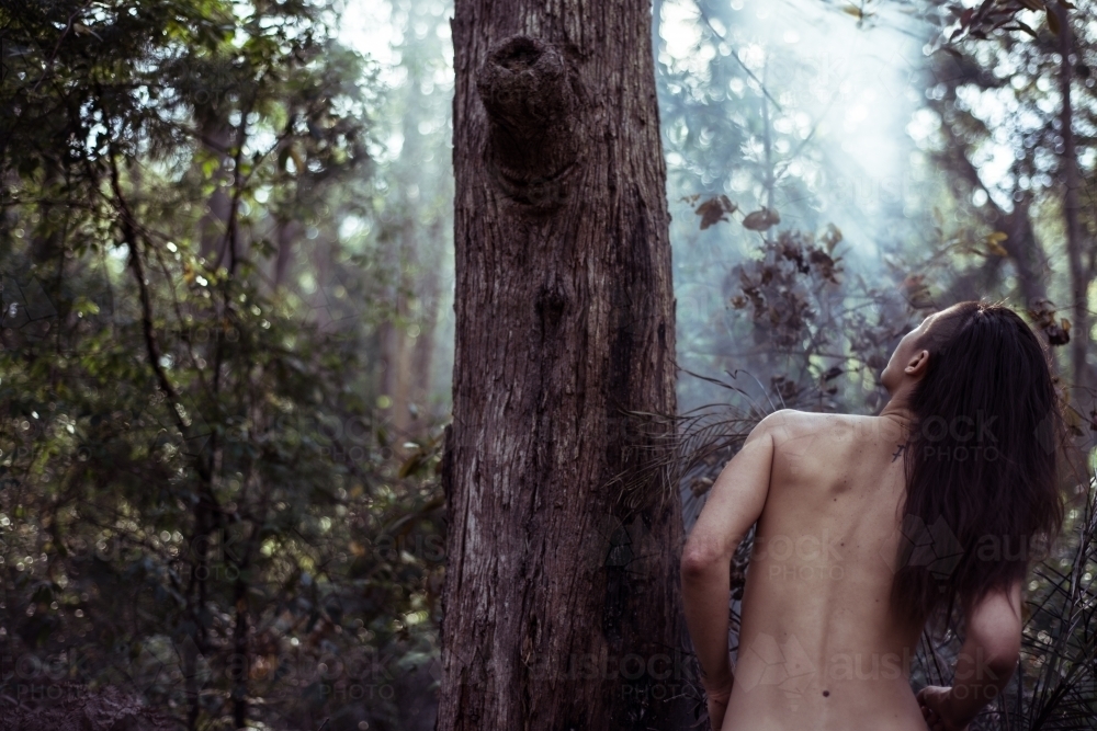 Person with nature in forest - Australian Stock Image