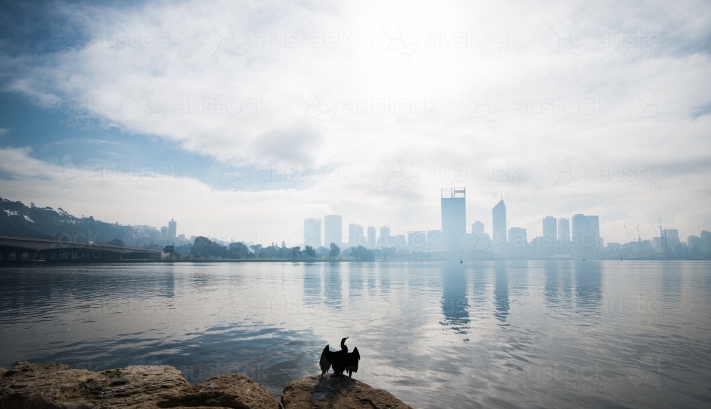 Perth city smoke haze and cormorant - Australian Stock Image