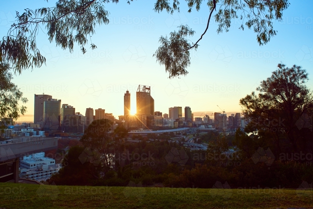Perth City Sunrise framed by trees in King's Park. - Australian Stock Image