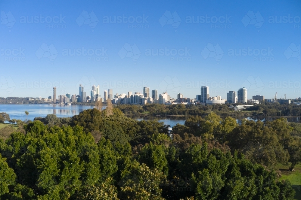 Image of Perth Skyline Behind Trees Aerial - Austockphoto