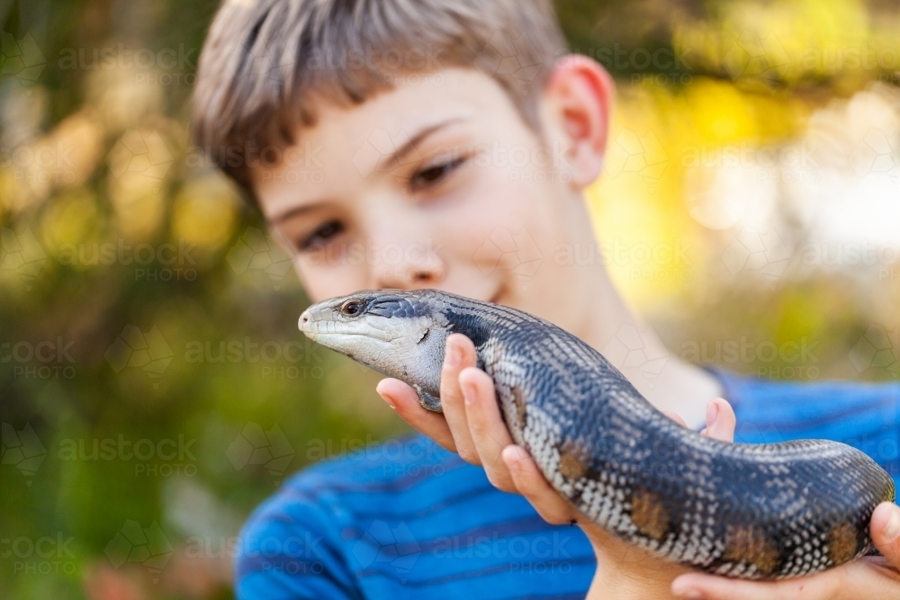 Pet blue-tongued lizard outside in garden with owner - Australian Stock Image
