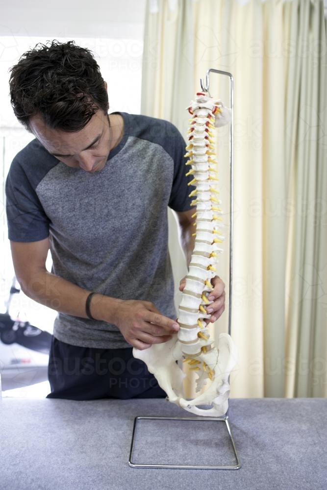 Physiotherapist holding spine model - Australian Stock Image