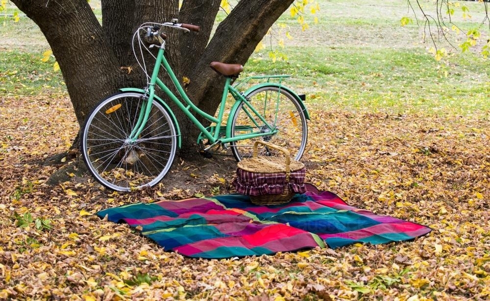 Picnic blanket and green bike under tree with yellow autumn leaves - Australian Stock Image