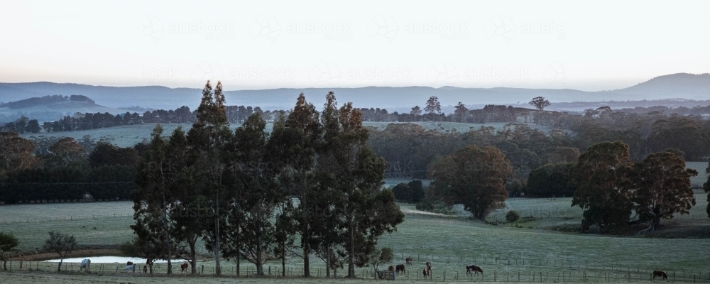 picturesque country view in the morning with low lying mist on the horizon - Australian Stock Image