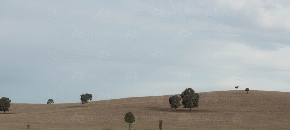 picturesque iconic Australian countryside - Australian Stock Image