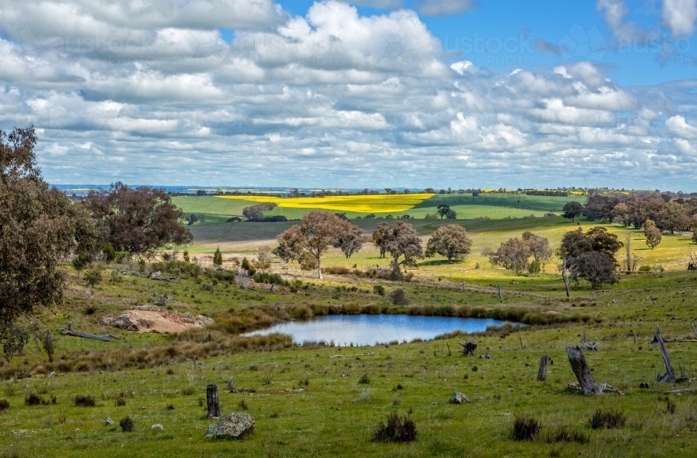Picturesque rural farmlands in Central West NSW for as far as the eye can see. - Australian Stock Image