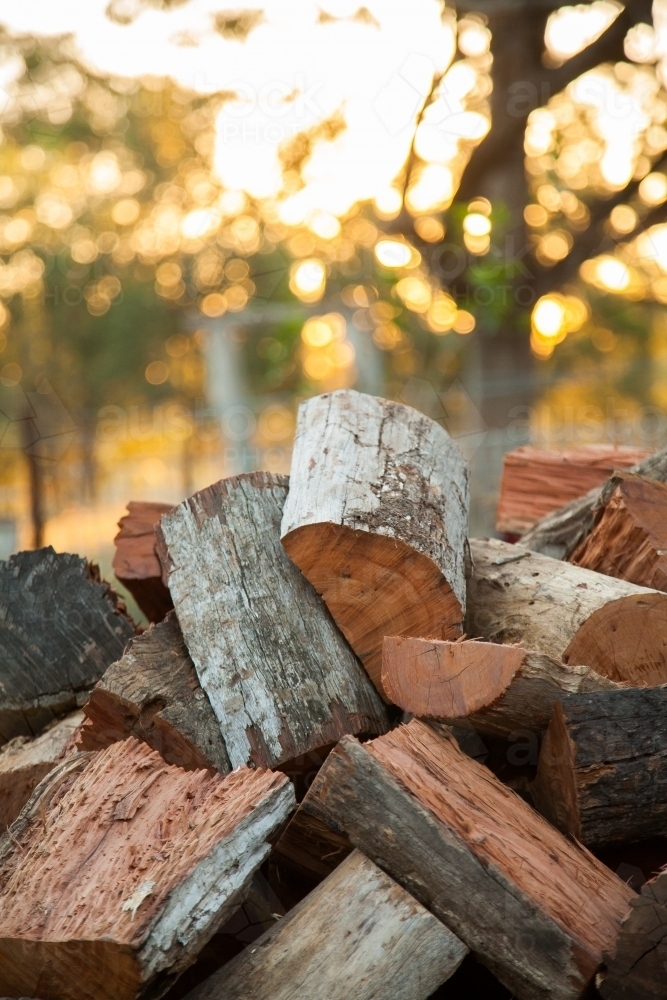 Pile of cut firewood with bokeh background - Australian Stock Image