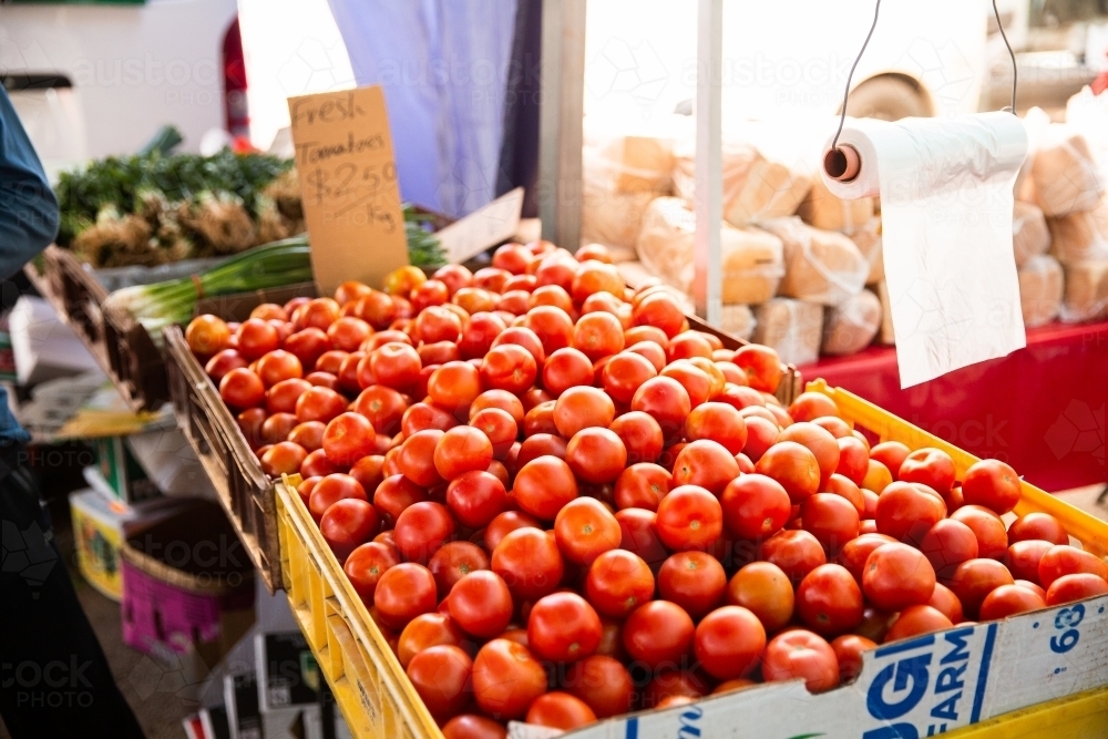 Image of Piles of fresh tomatoes for sale at a Farmers Market ...