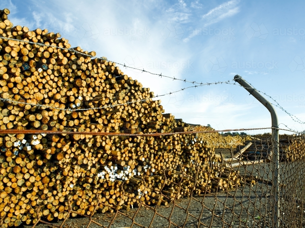 Piles of logs in a yard with a barbed wire fence - Australian Stock Image