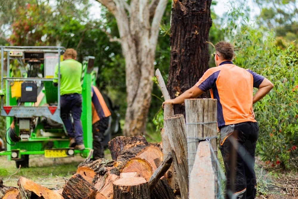 Piles of wood from iron bark gum tree that lumberjacks removed from beside property fence - Australian Stock Image
