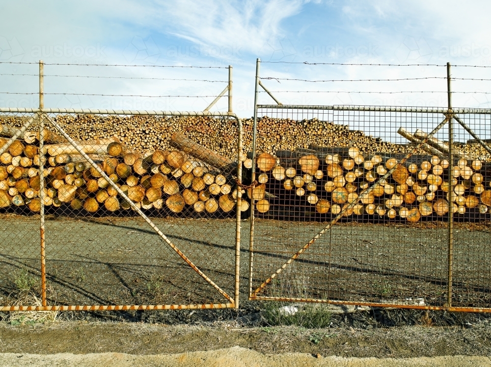Piles off logs in yard with rusty gates. - Australian Stock Image