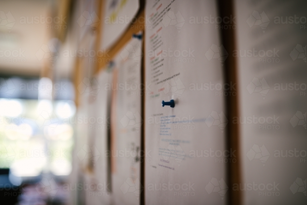 Pin in sheet of paper on a notice board - Australian Stock Image