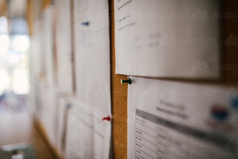 Pin in sheet of paper on a notice board - Australian Stock Image
