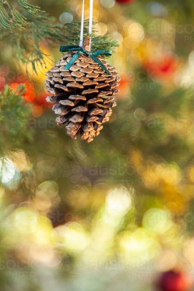 Image of Pine cone Christmas decoration on live fir tree - Austockphoto