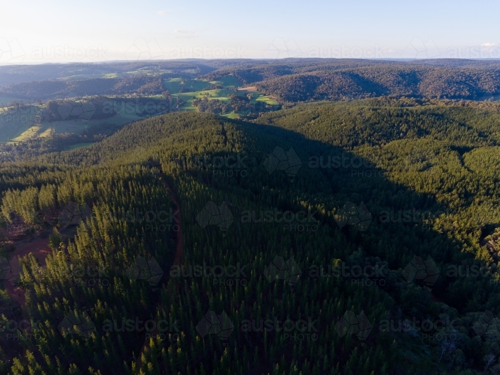 Pine plantation, jarrah forest, and pastures show different land use in the Ferguson Valley - Australian Stock Image