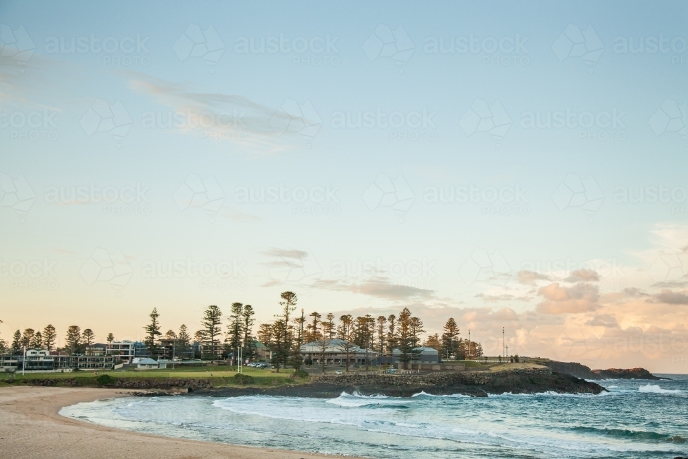 Pine trees beside water and beach at sunset in Kiama - Australian Stock Image