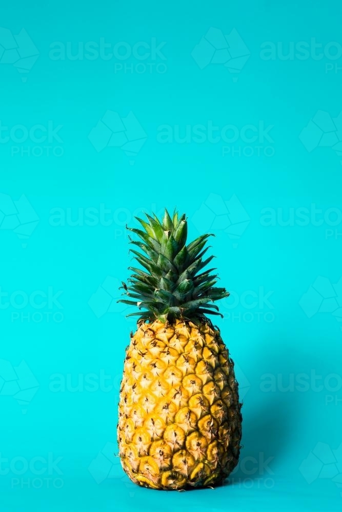 pineapple against a blue background - Australian Stock Image