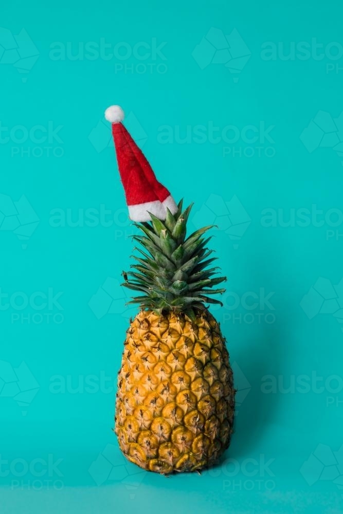 pineapple with christmas hat against a blue background - Australian Stock Image