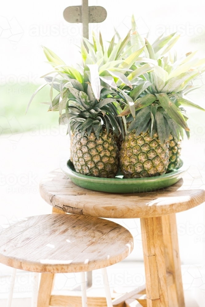 Pineapples - Australian Stock Image