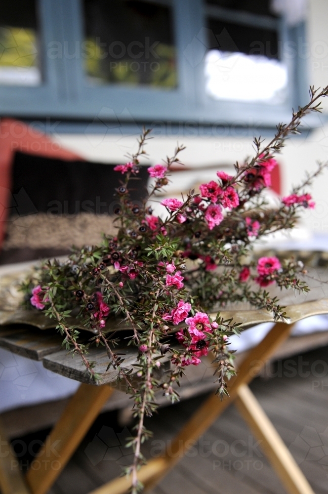 Pink Flowers laid on a table - Australian Stock Image