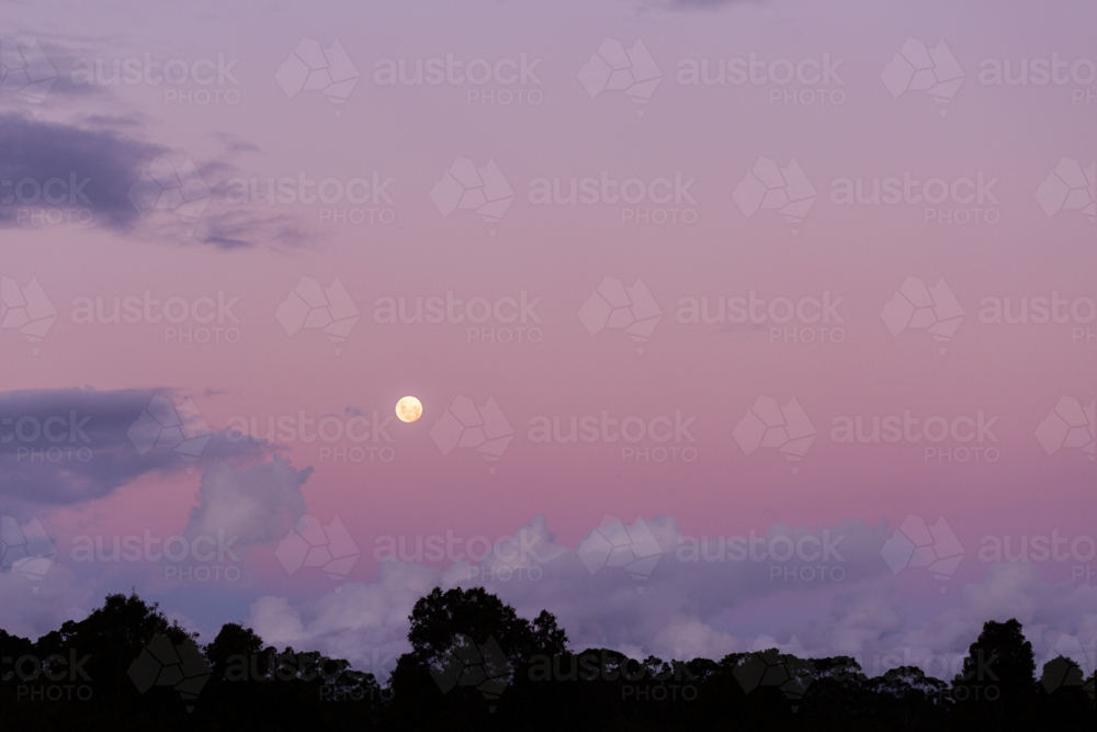 Pink full moon in dusk sky - Australian Stock Image