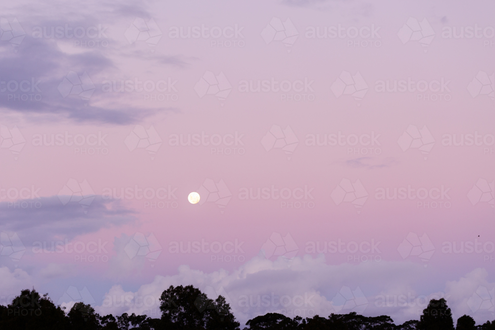 Pink full moon in dusk sky - Australian Stock Image