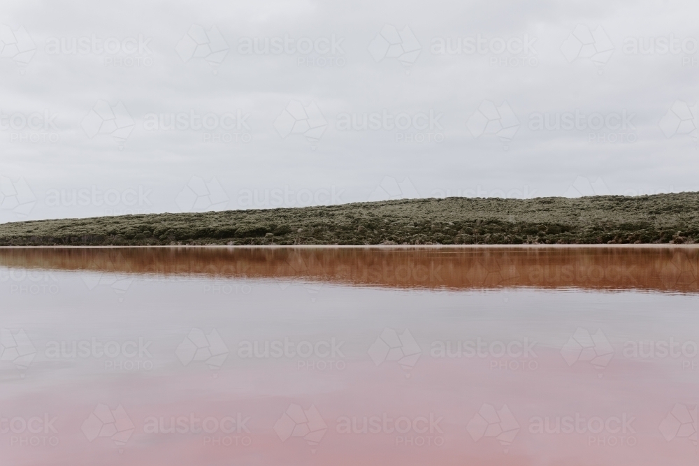 Pink lake - Australian Stock Image