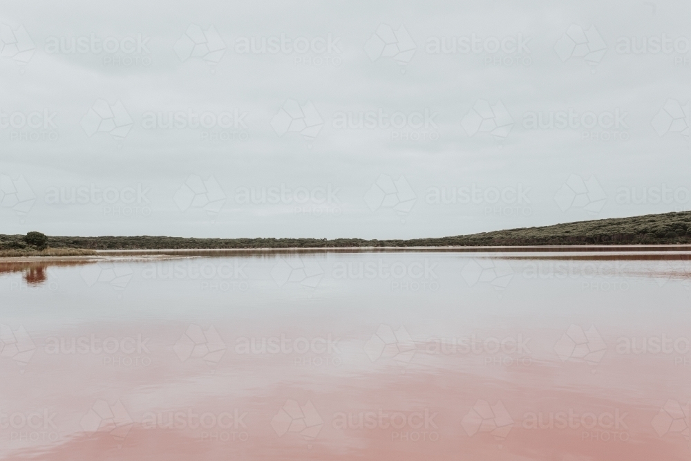 Pink lake - Australian Stock Image