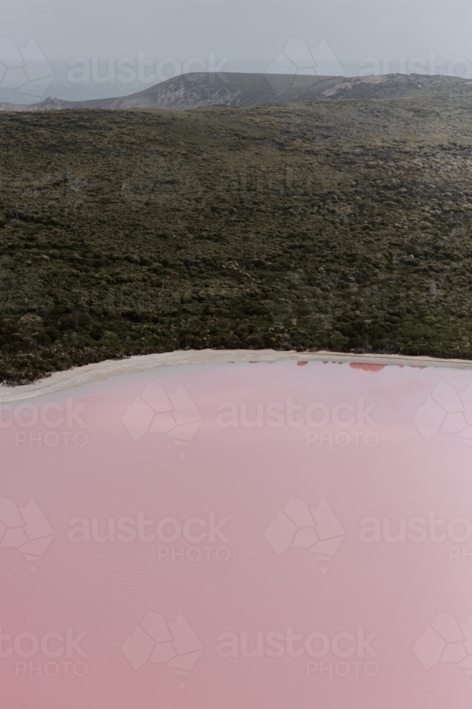 Pink lake next to green landscape - Australian Stock Image
