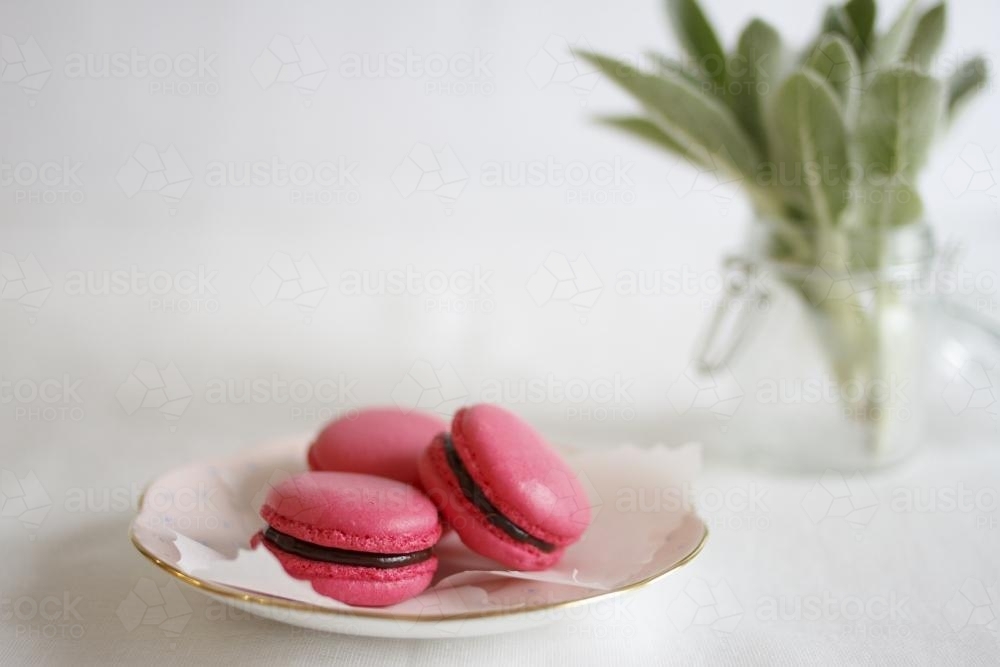 Pink macarons on crockery plate against white - Australian Stock Image