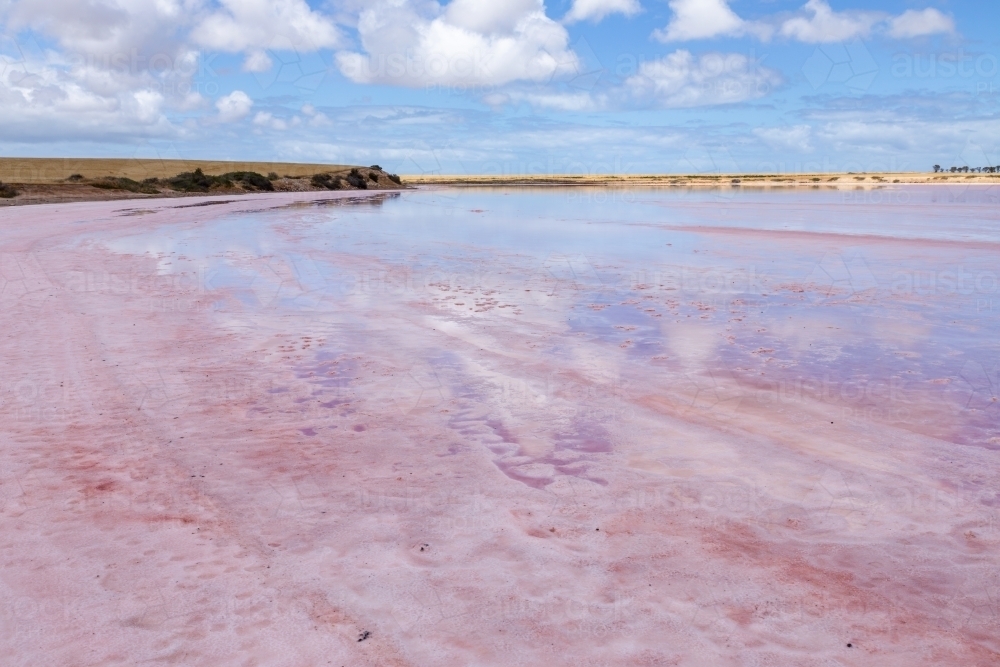 pink salt lake under blue sky with white clouds - Australian Stock Image