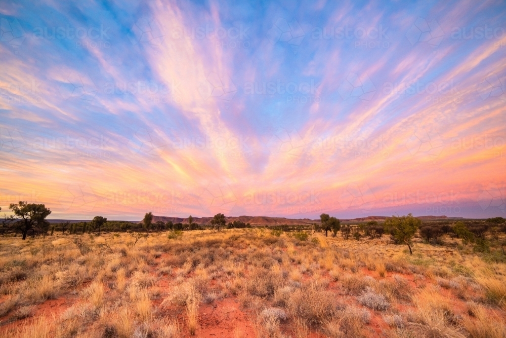 Pink sky in the evening over the King’s canyon in the distance - Australian Stock Image