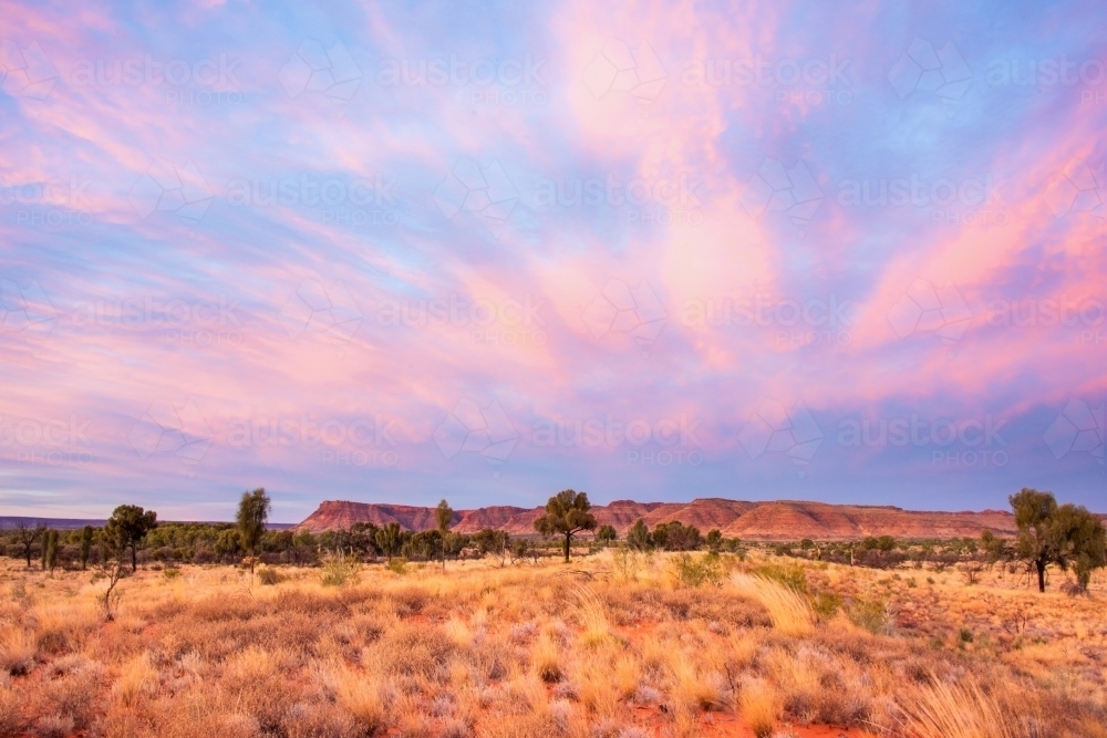 Pink sky in the evening over the King’s canyon in the distance - Australian Stock Image