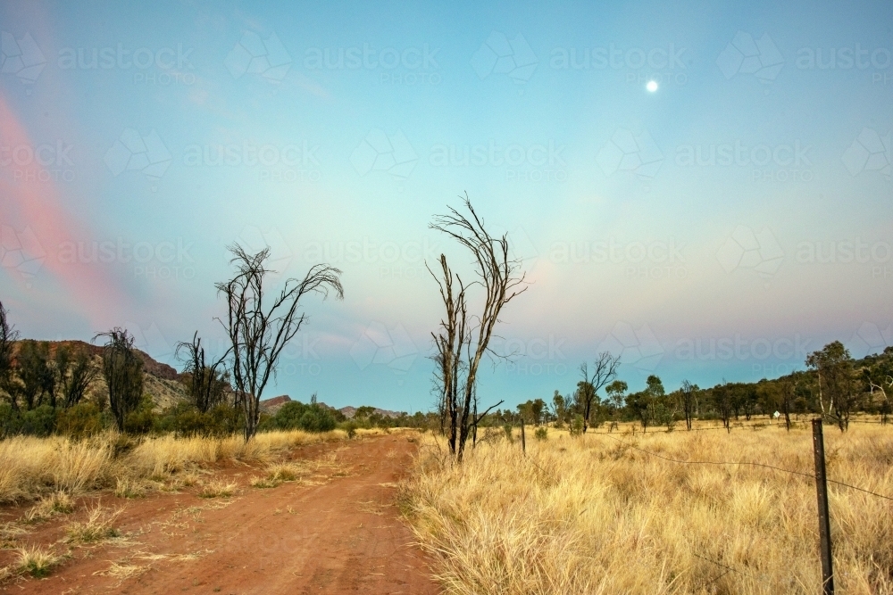 Pink vibrant colors of the sky during dawn in the Australian outback along an outback track - Australian Stock Image