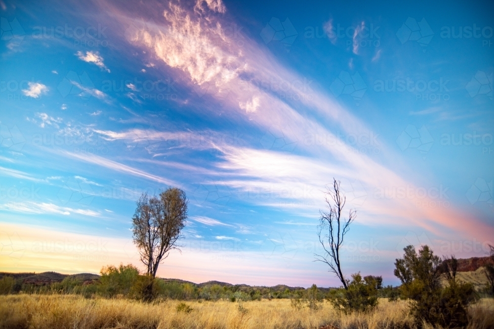 Pink vibrant colors of the sky during dawn in the Australian outback - Australian Stock Image