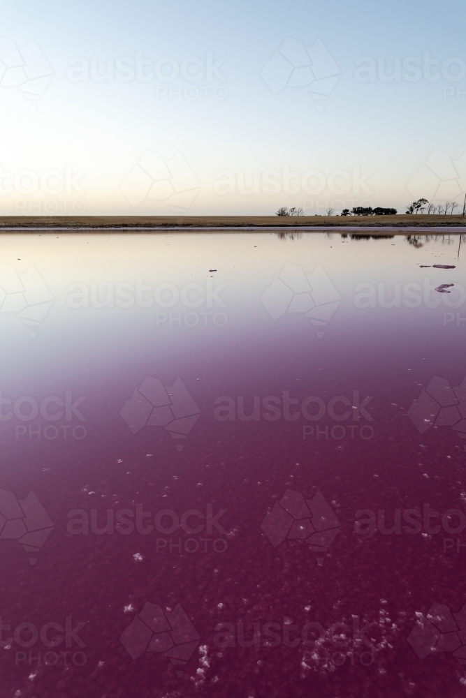 pink water in salt lake at dusk - Australian Stock Image