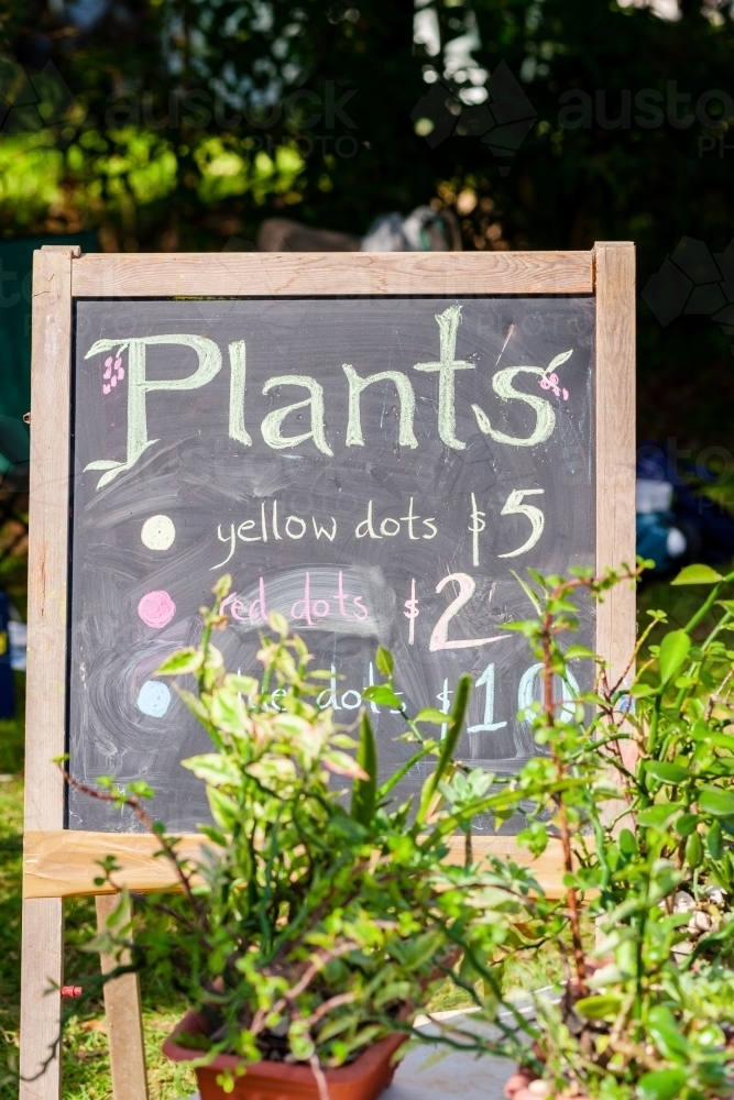 Plants for sale at a school fair - Australian Stock Image