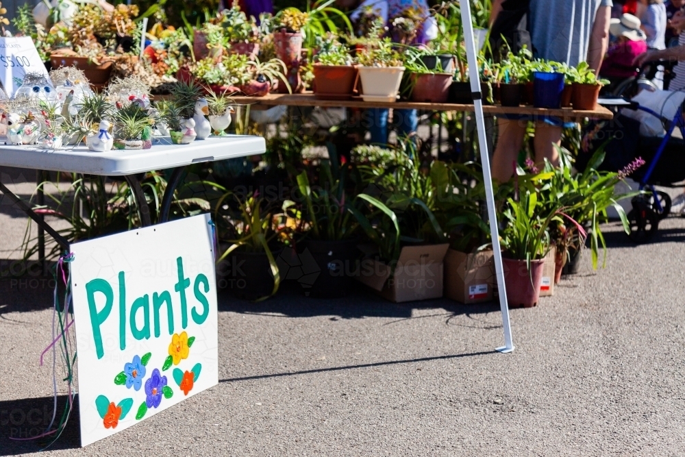 Plants for sale at market stall at spring fete - Australian Stock Image