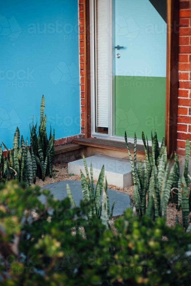 Plants outside colourful apartment - Australian Stock Image